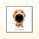 Custom Pet Portrait Canvas – Funny Big Head Caricature Art