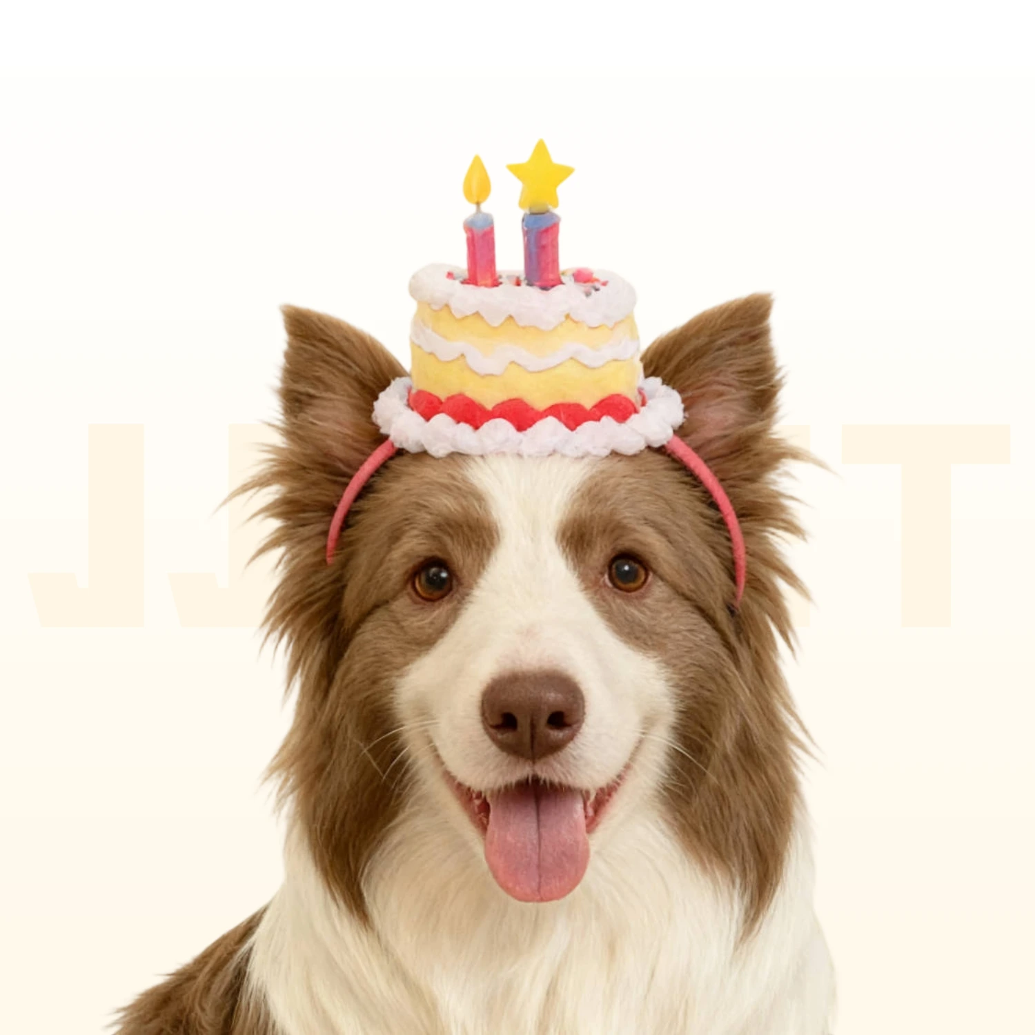 Personalized Pet Birthday Photo Frame - Multi-Opening Collage Display - Image 5