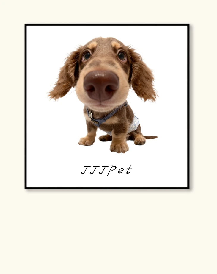 Mega Menu Image1000571