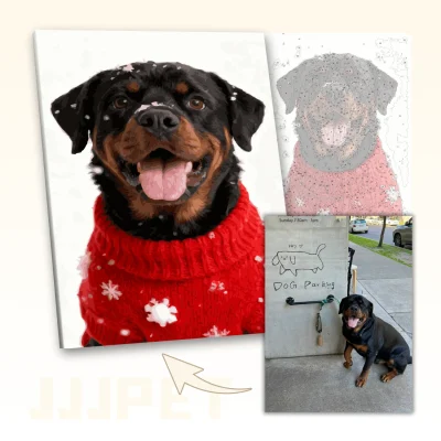 Christmas Red Costume - Custom Pet Paint by Numbers