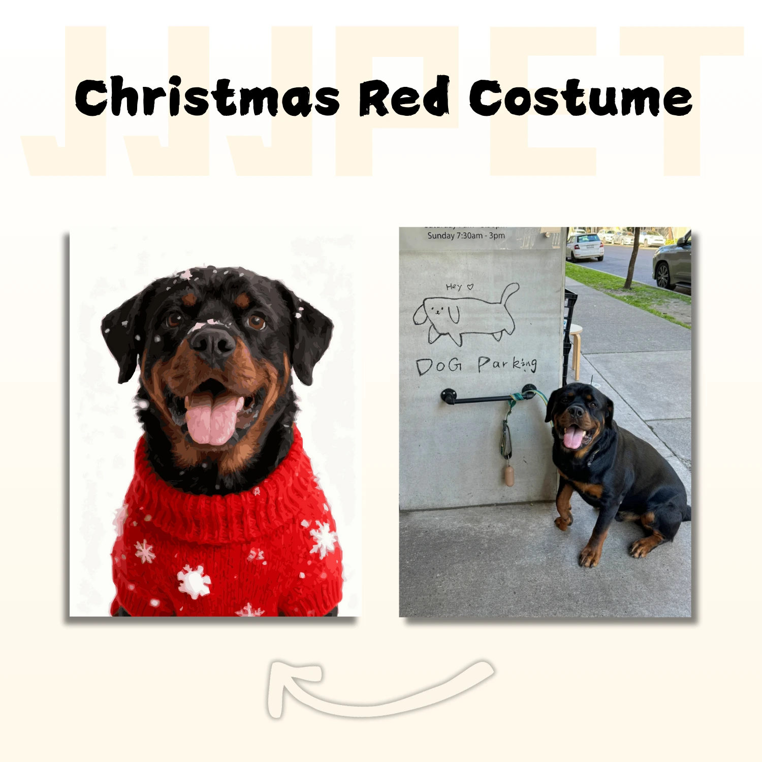 Christmas Red Costume - Custom Pet Paint by Numbers - Image 3