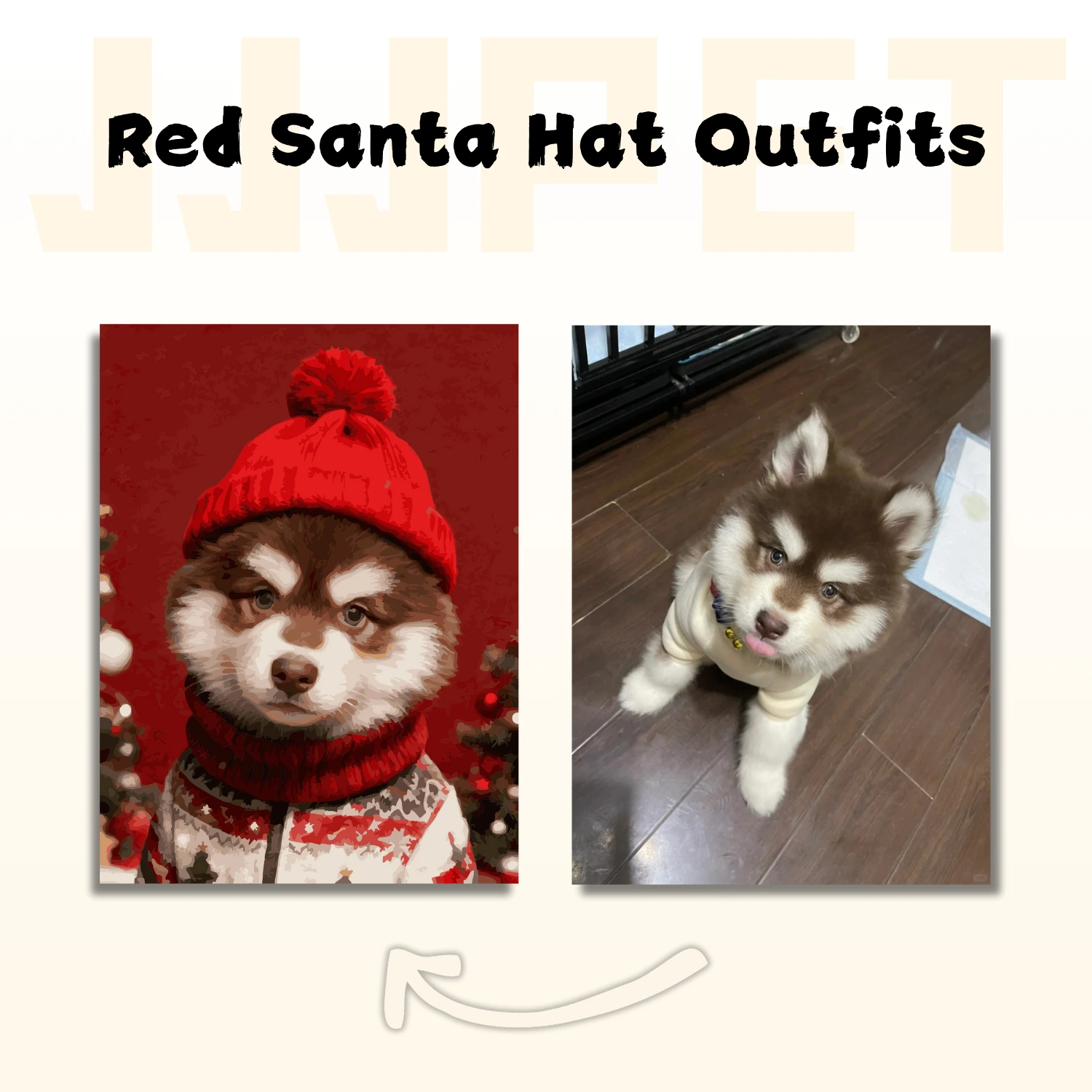 Custom Pet Paint by Numbers - Red Santa Hat Outfits - Image 3