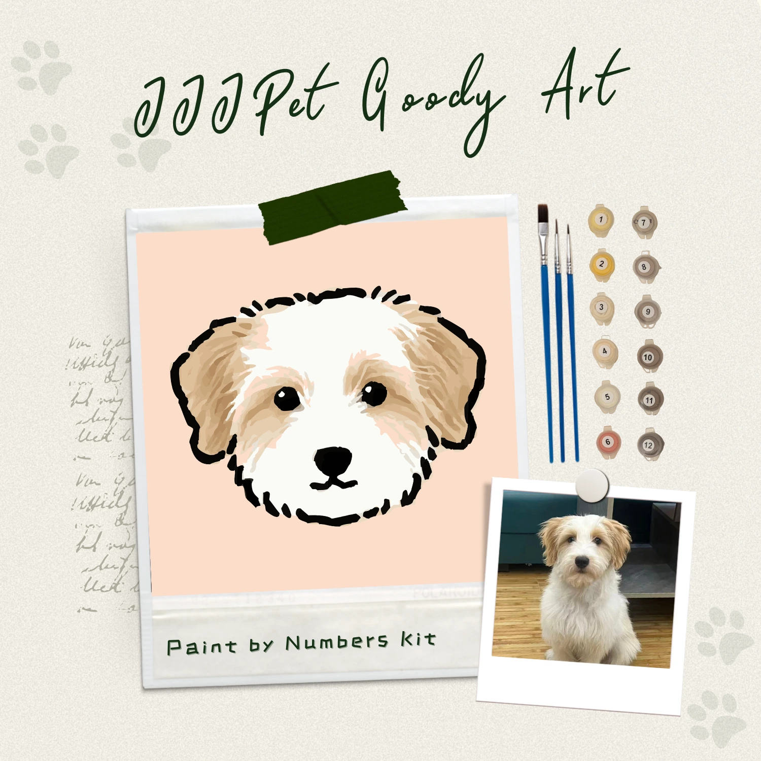 custom derpy pet paint by numbers diy portrait kit