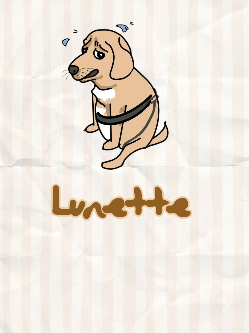 Mega Menu Image1003429