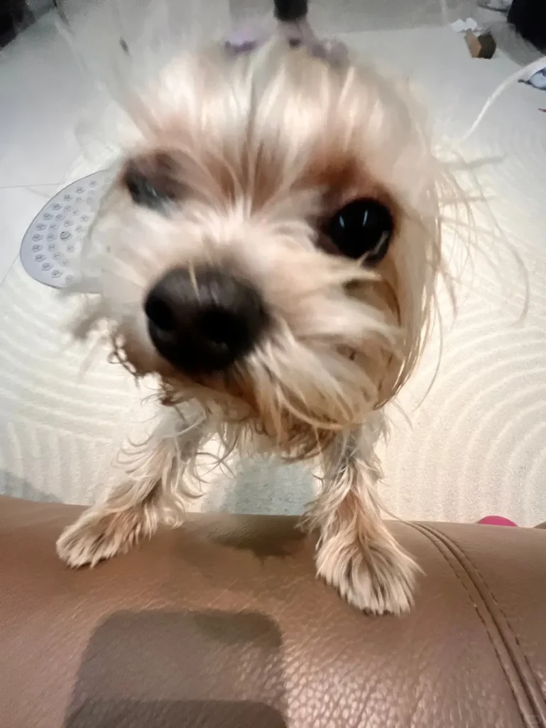 thederpychecklist03 1022x1361