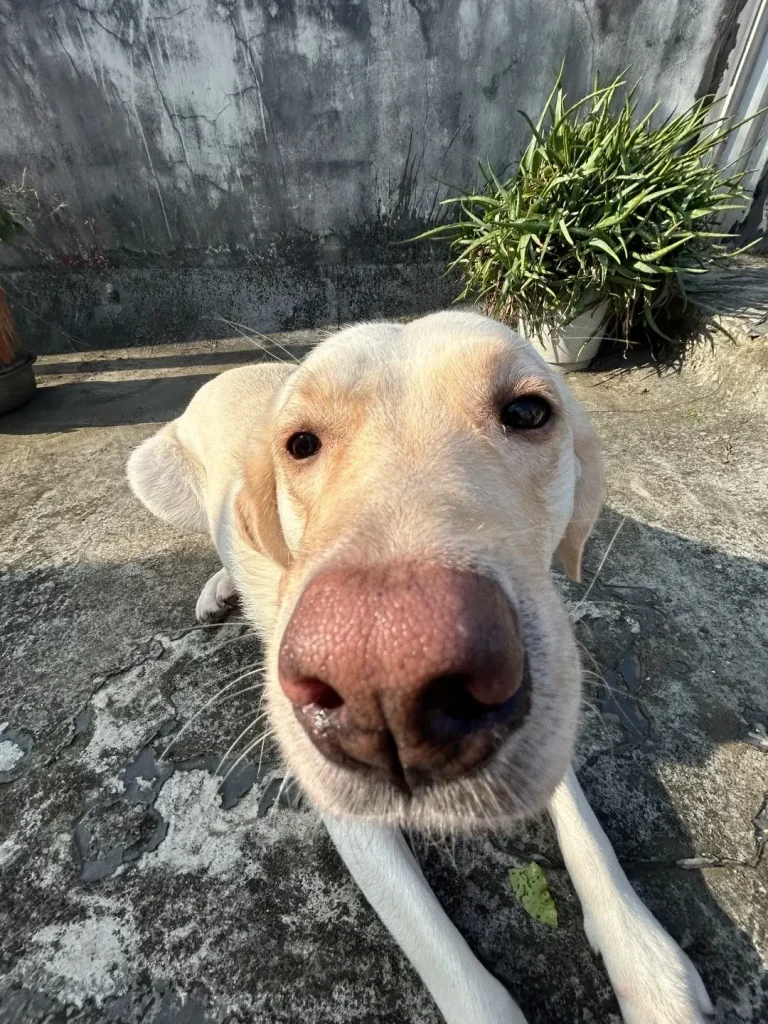 thederpychecklist04 1080x1440