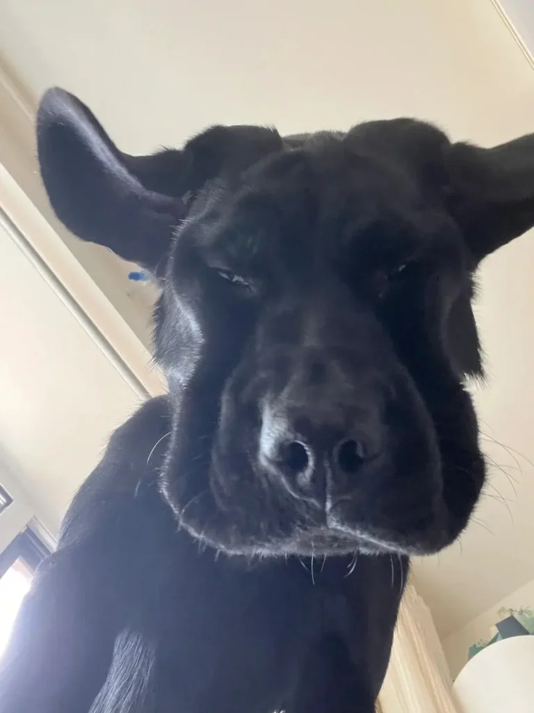 thederpychecklist05 1080x1440