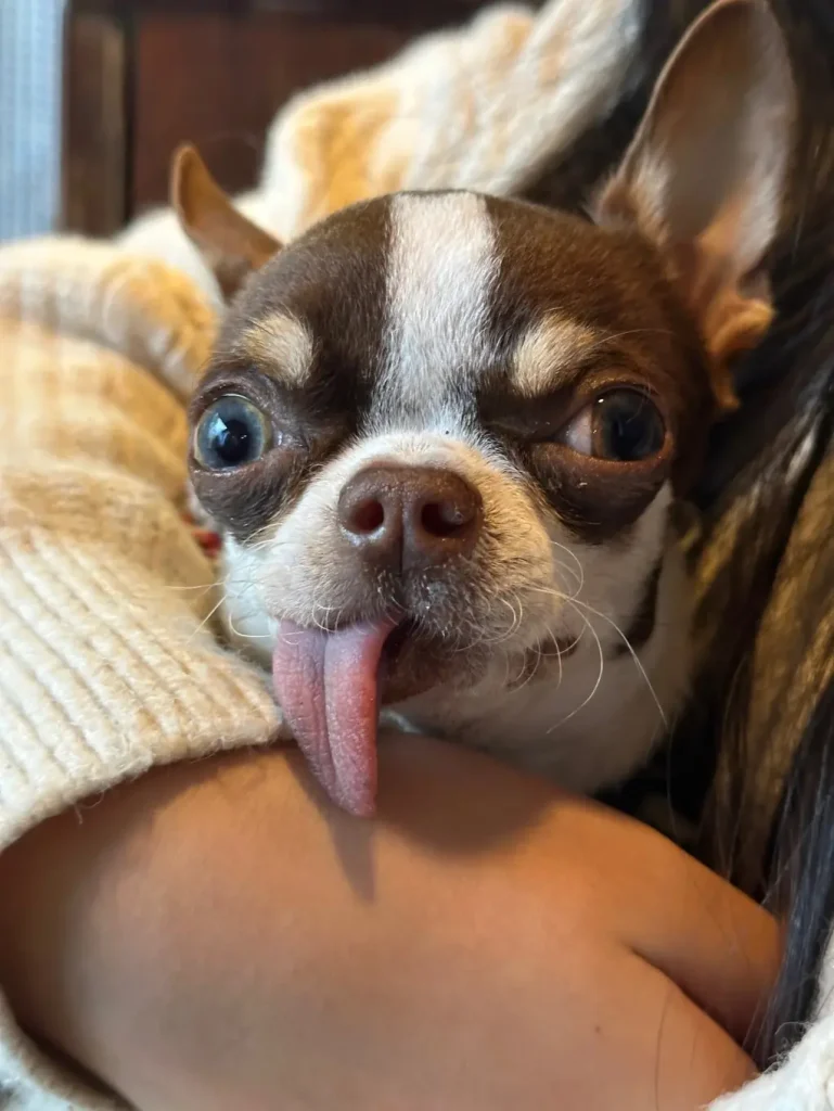 thederpychecklist06 1022x1361